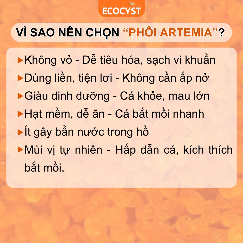 Phôi Artemia Sấy - Ảnh 5