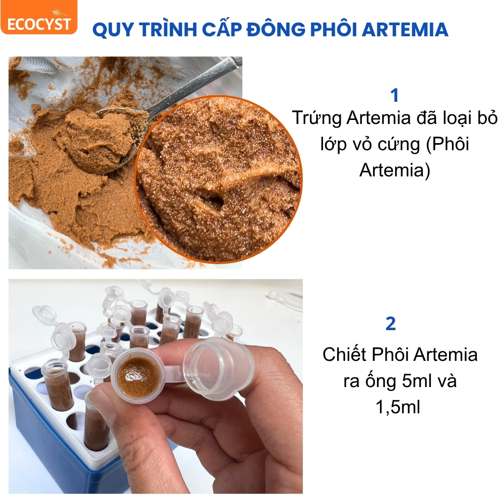 Phôi Artemia Đông Lạnh - Ảnh 8