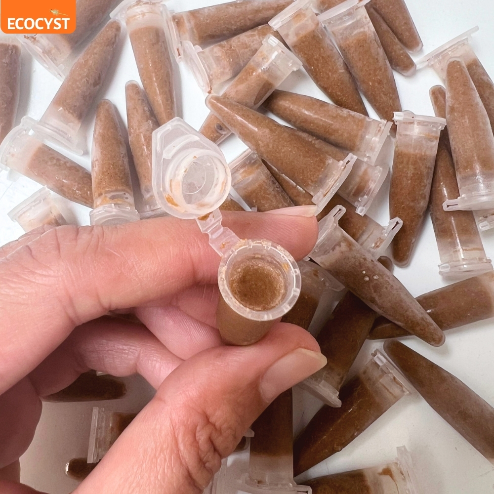 Phôi Artemia Đông Lạnh