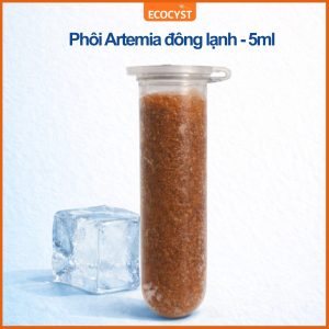 phôi artemia đông lạnh ecocyst đã khử vỏ cho ăn trực tiếp