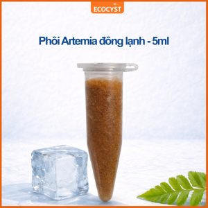 phôi artemia đông lạnh ecocyst đã khử vỏ cho ăn trực tiếp