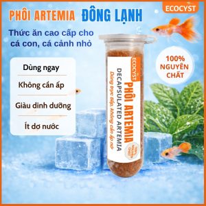 phôi artemia đông lạnh ecocyst đã khử vỏ cho ăn trực tiếp