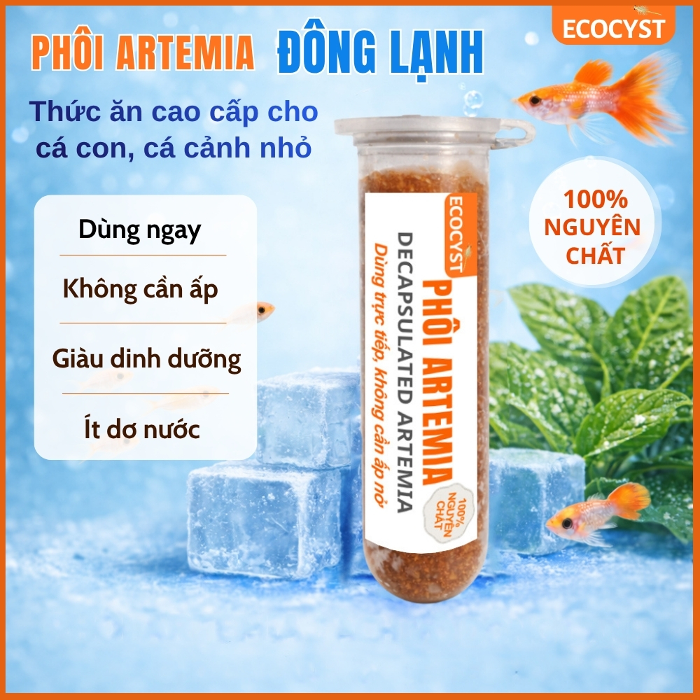 phôi artemia đông lạnh ecocyst đã khử vỏ cho ăn trực tiếp