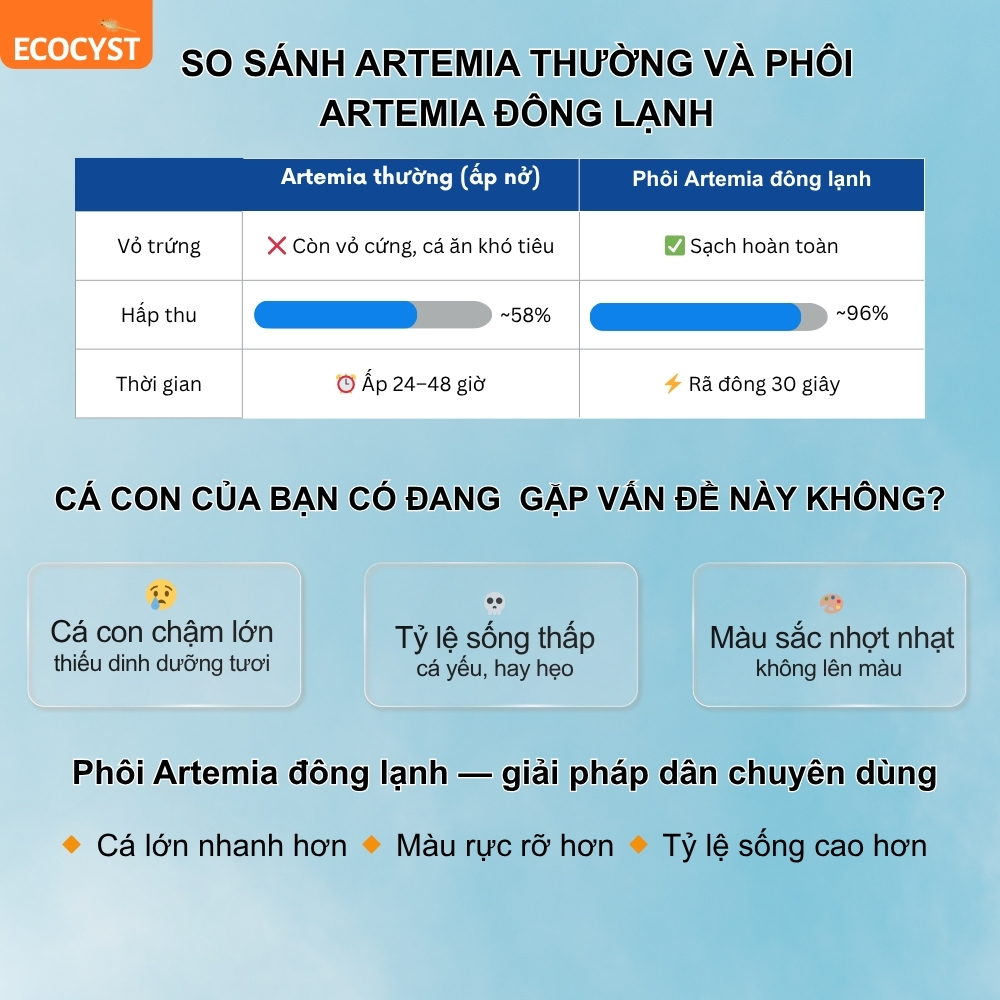 Phôi Artemia Đông Lạnh - Ảnh 7