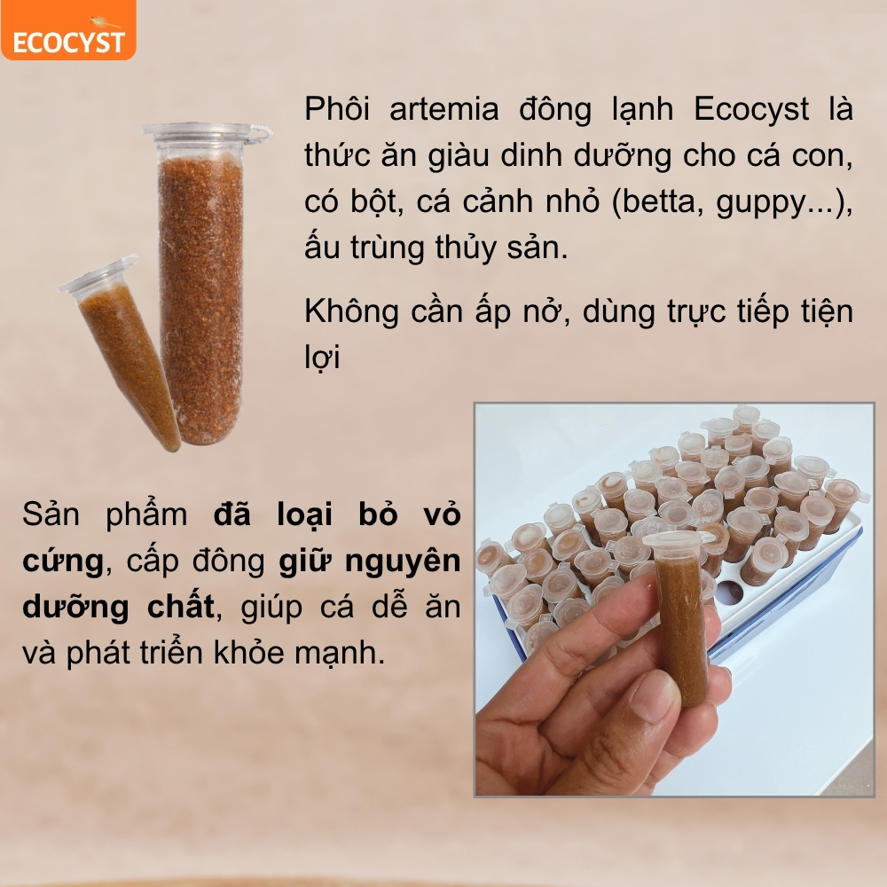 Phôi Artemia Đông Lạnh - Ảnh 11
