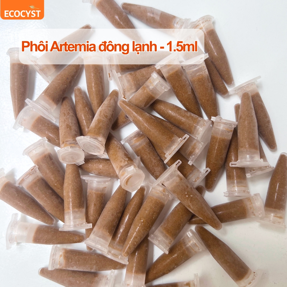 Phôi Artemia Đông Lạnh - Ảnh 15